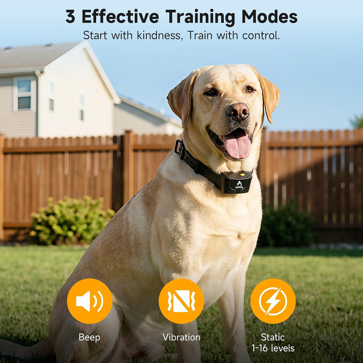 patpet 2 dogs training collar with remote shown in use