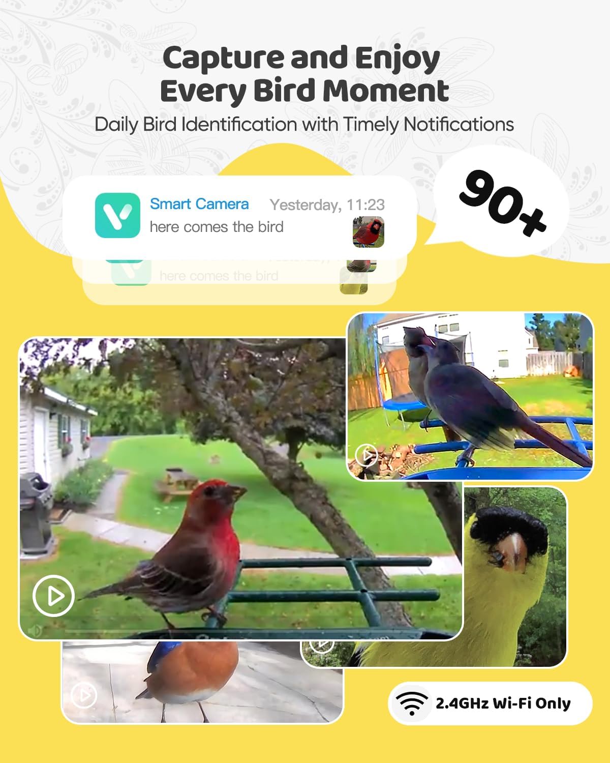 smart bird feeder with camera solar powered, 2k shown in use