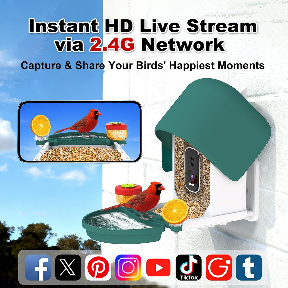 4k bird feeder camera, ai identify, solar, 2-way showing dimensions