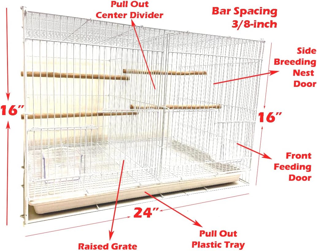 lot of breeding flight bird cage for aviaries shown in use