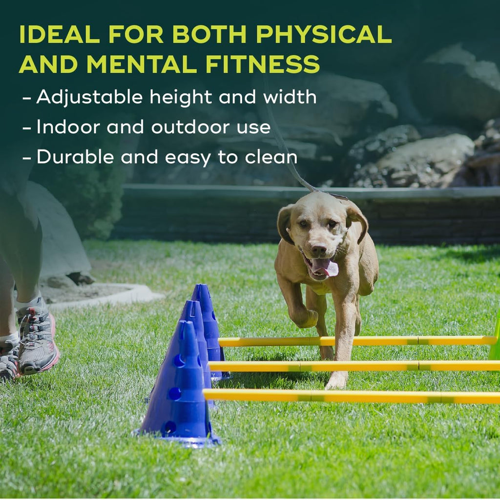 fitpaws® cavaletti set, dog agility, fitness, rehabilitation training, side view