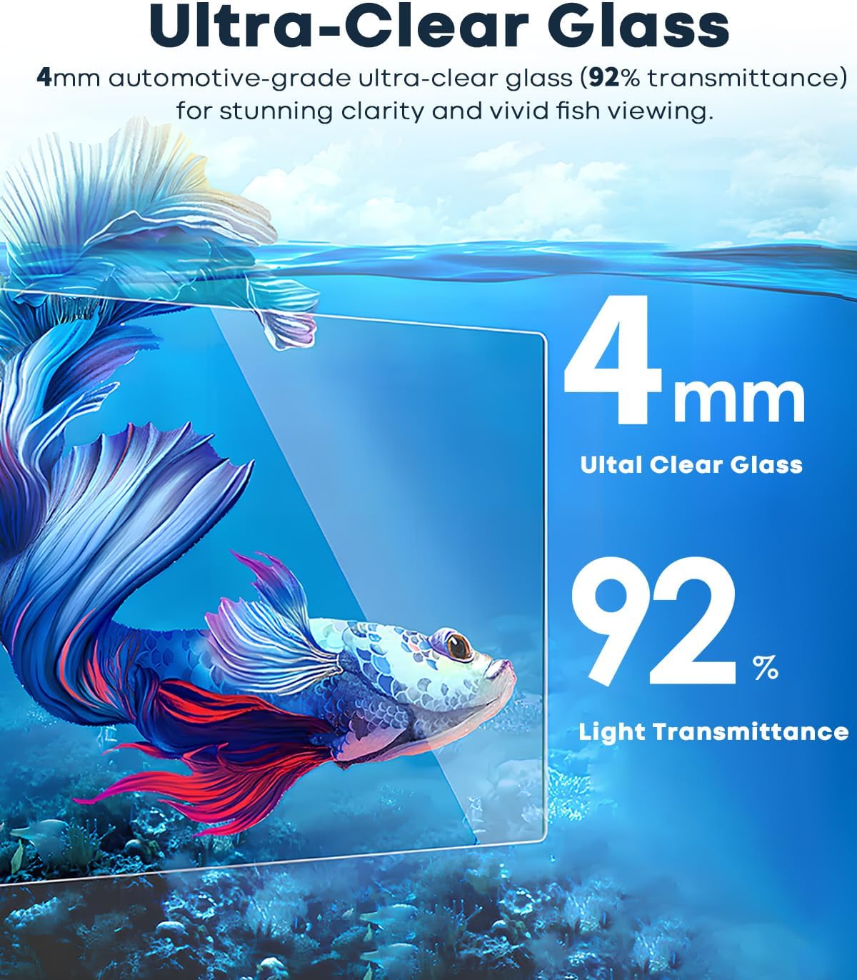 1.25 gallon fish tank small glass aquarium kit shown in use