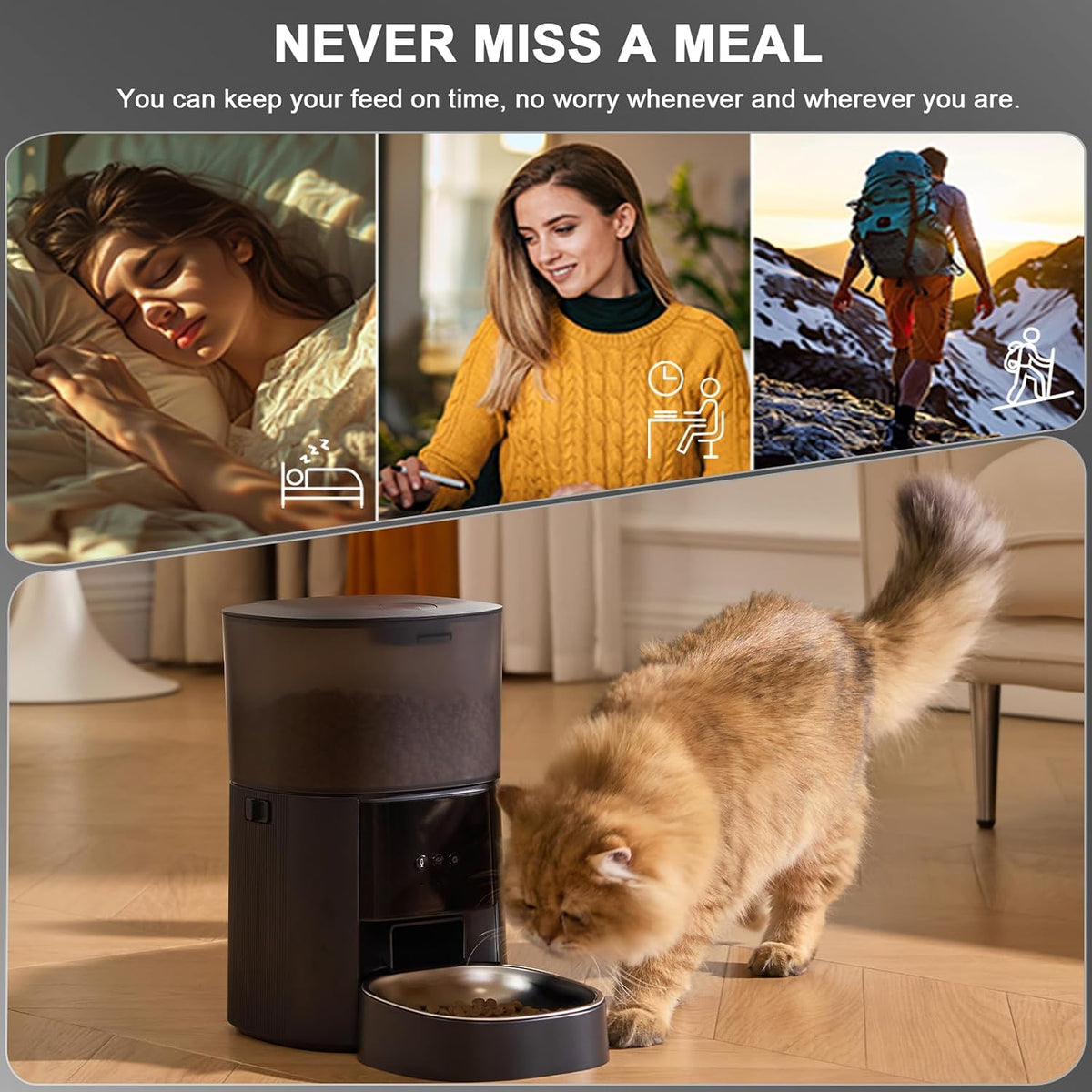 automatic cat feeder wifi with app control, voice showing dimensions