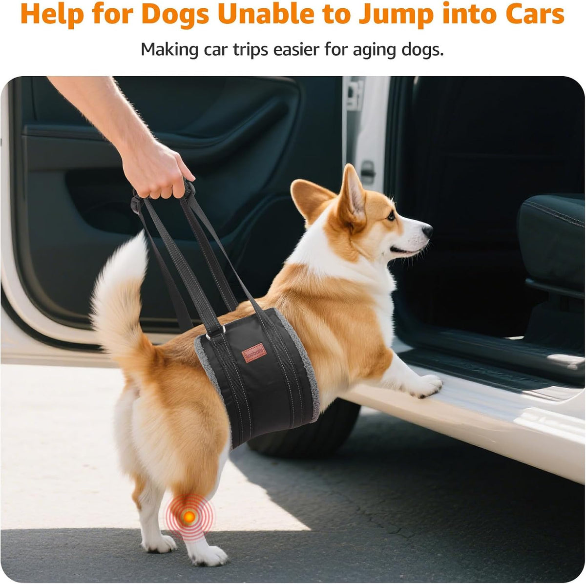 loobani dog sling for large dogs hind leg, close-up detail