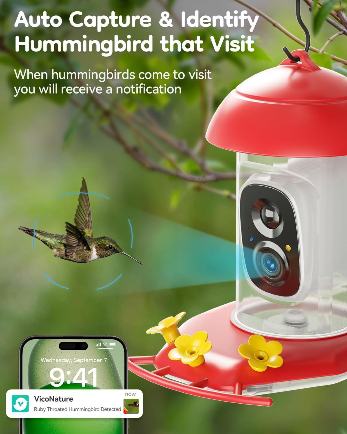 solar hummingbird feeder with camera for outdoors, 2k, close-up detail