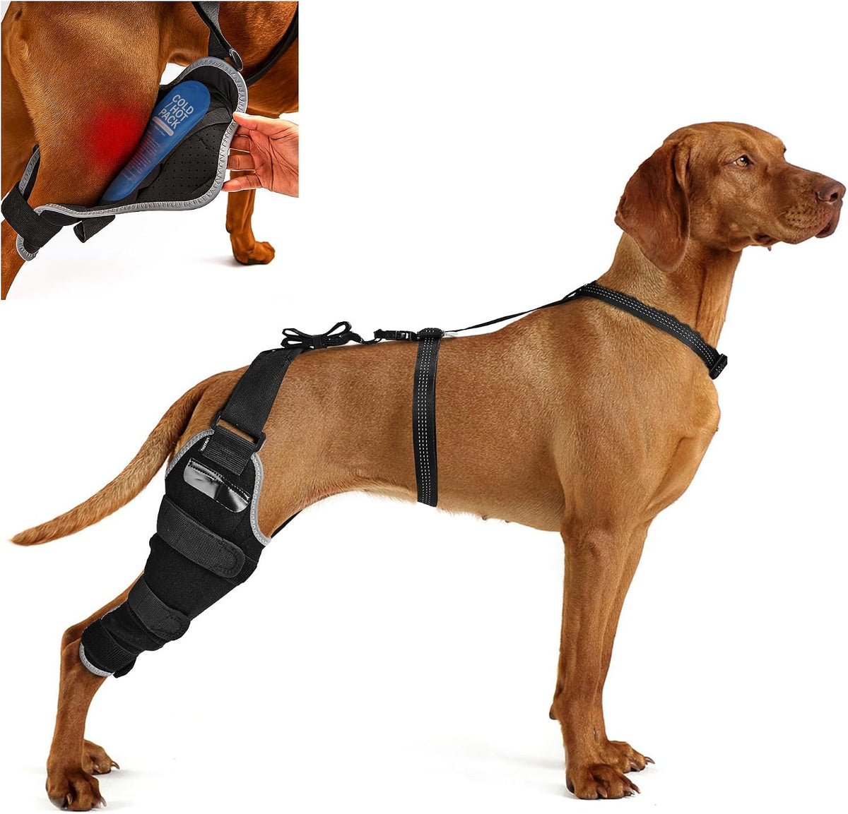 dog knee brace xl, hind leg support with, main product view
