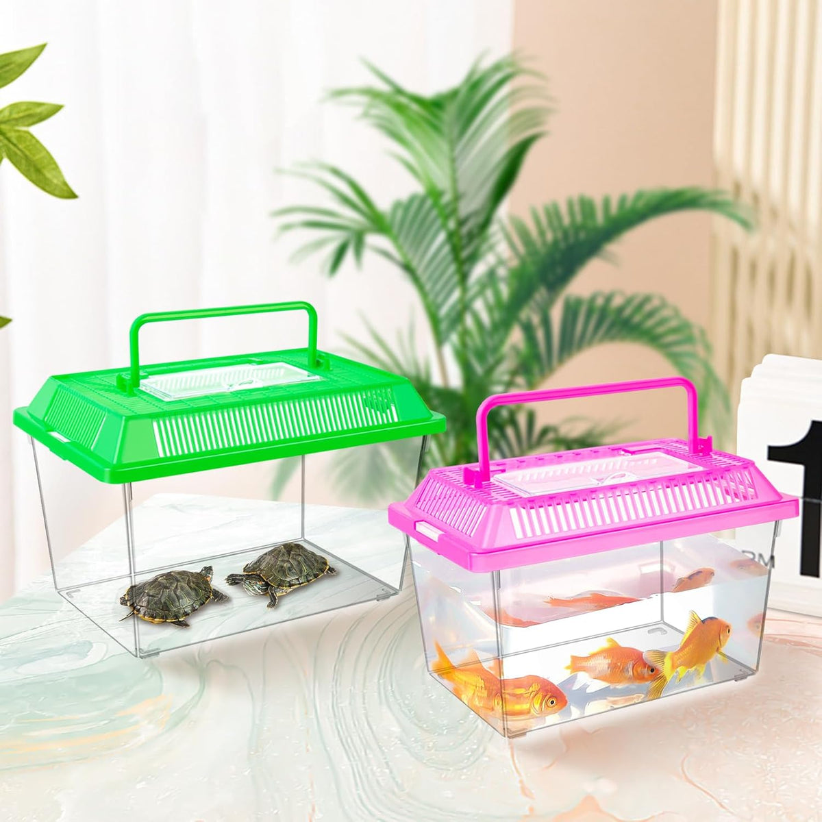 plastic reptile terrariums carrier cage, tarantula enclosure breeding showing dimensions