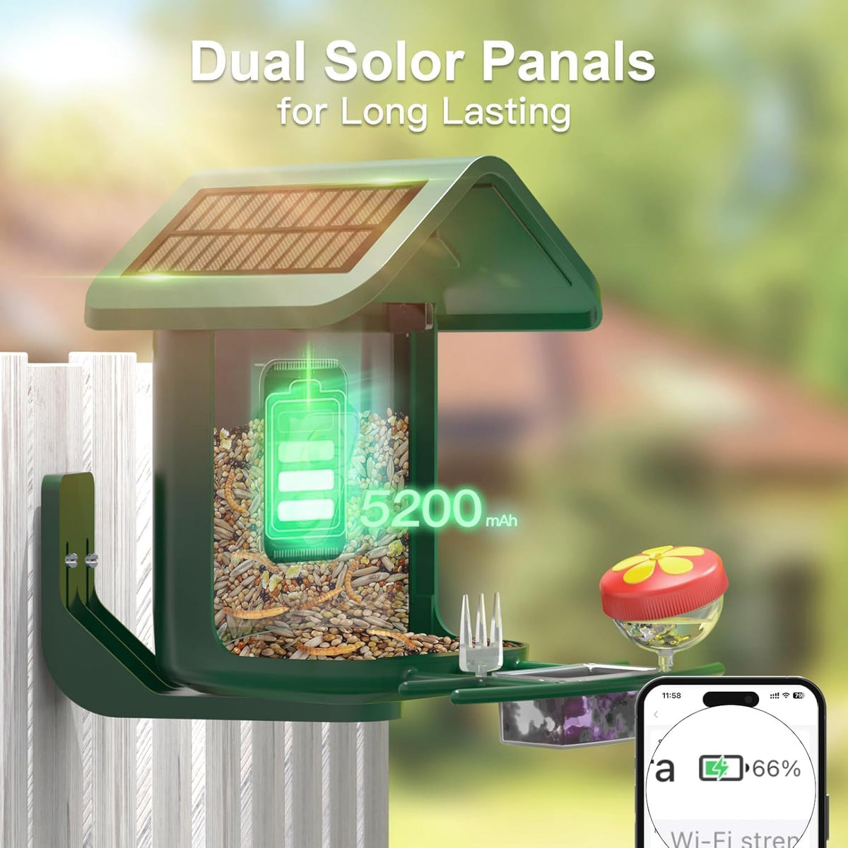 smart bird feeder with camera solar powered, 2k, close-up detail