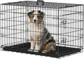 fdw dog crate for medium dogs 36 inch, main product view