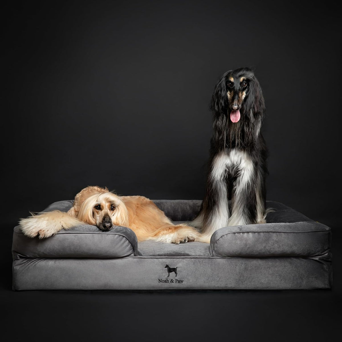 noah & paw xxl dog bed, orthopedic memory on a desk or shelf