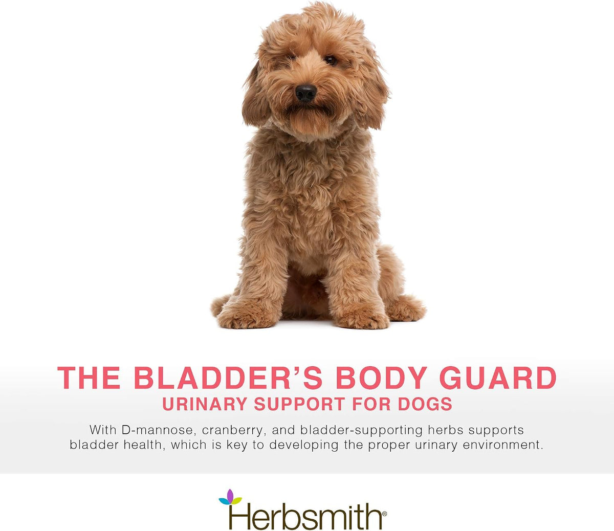 herbsmith bladder care for cats and dogs – shown in use