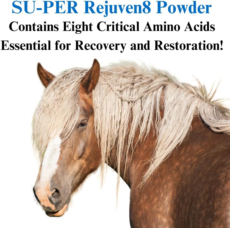 su-per rejuven8 supplement for horses, 12.5 pound powder, close-up detail