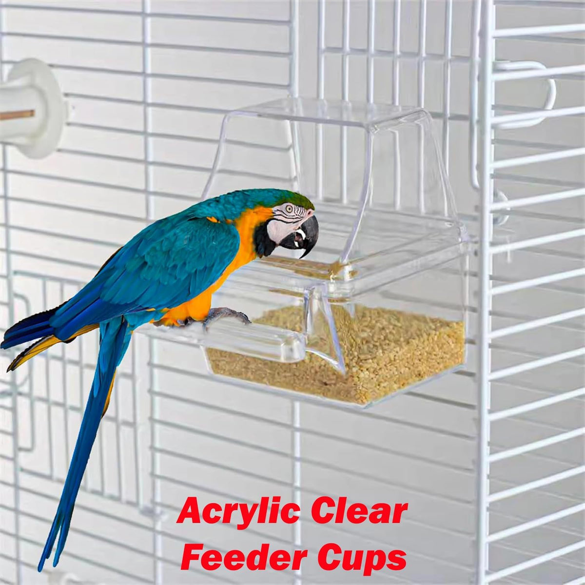 65-inch large flight bird parrot cage, white showing dimensions