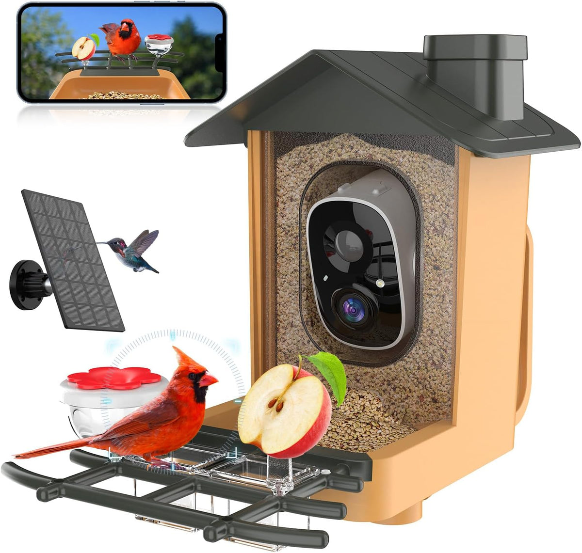bird feeder with camera 2k hd video ai, main product view