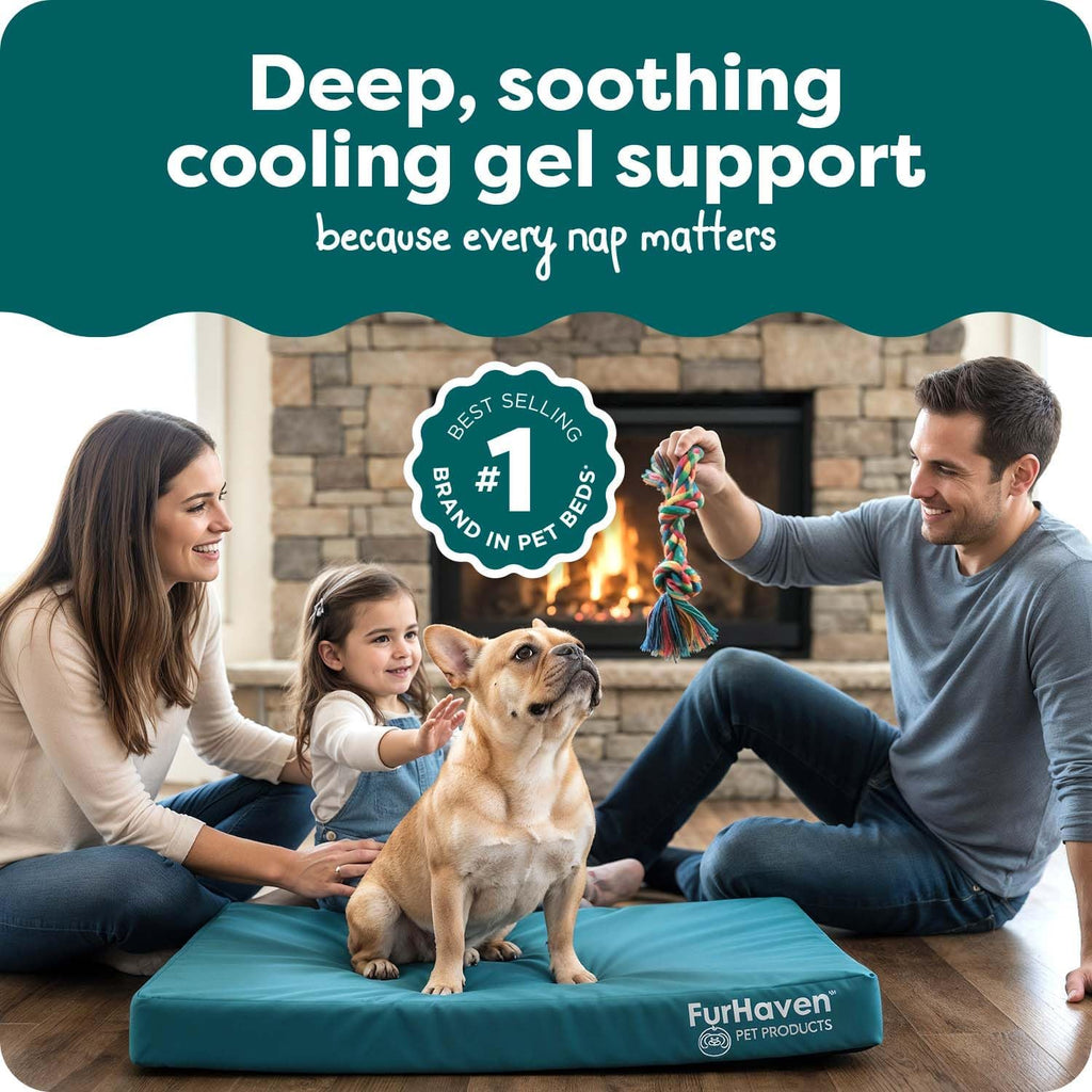 furhaven water-resistant orthopedic dog bed for medium dogs shown in use