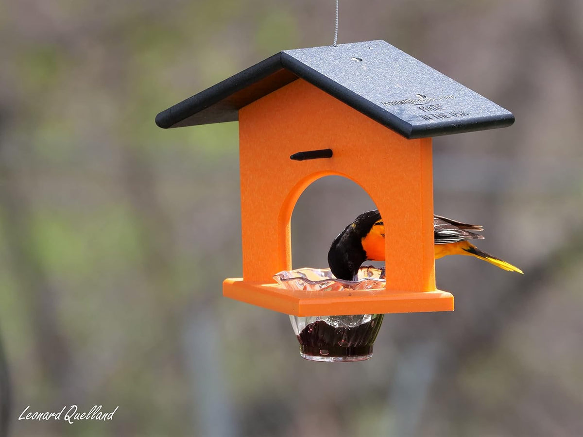 oriole bird feeder, for feeding grape jelly, black/orange, close-up detail