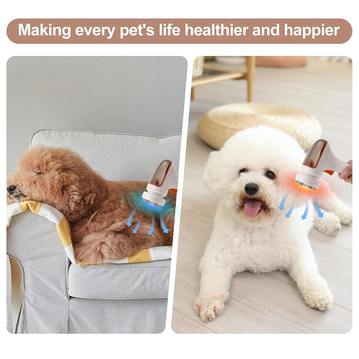 3-in-1 dog grooming vacuum, pet grooming vacuum dog, close-up detail