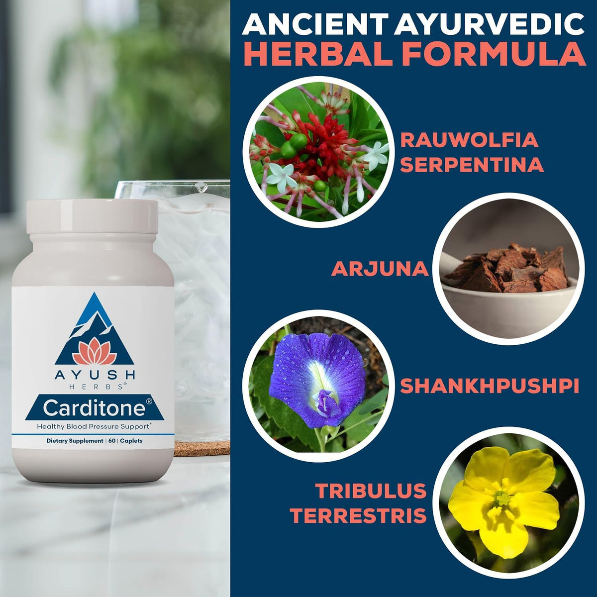 ayush herbs carditone, bp formula, arjuna, calcium, 120, side view