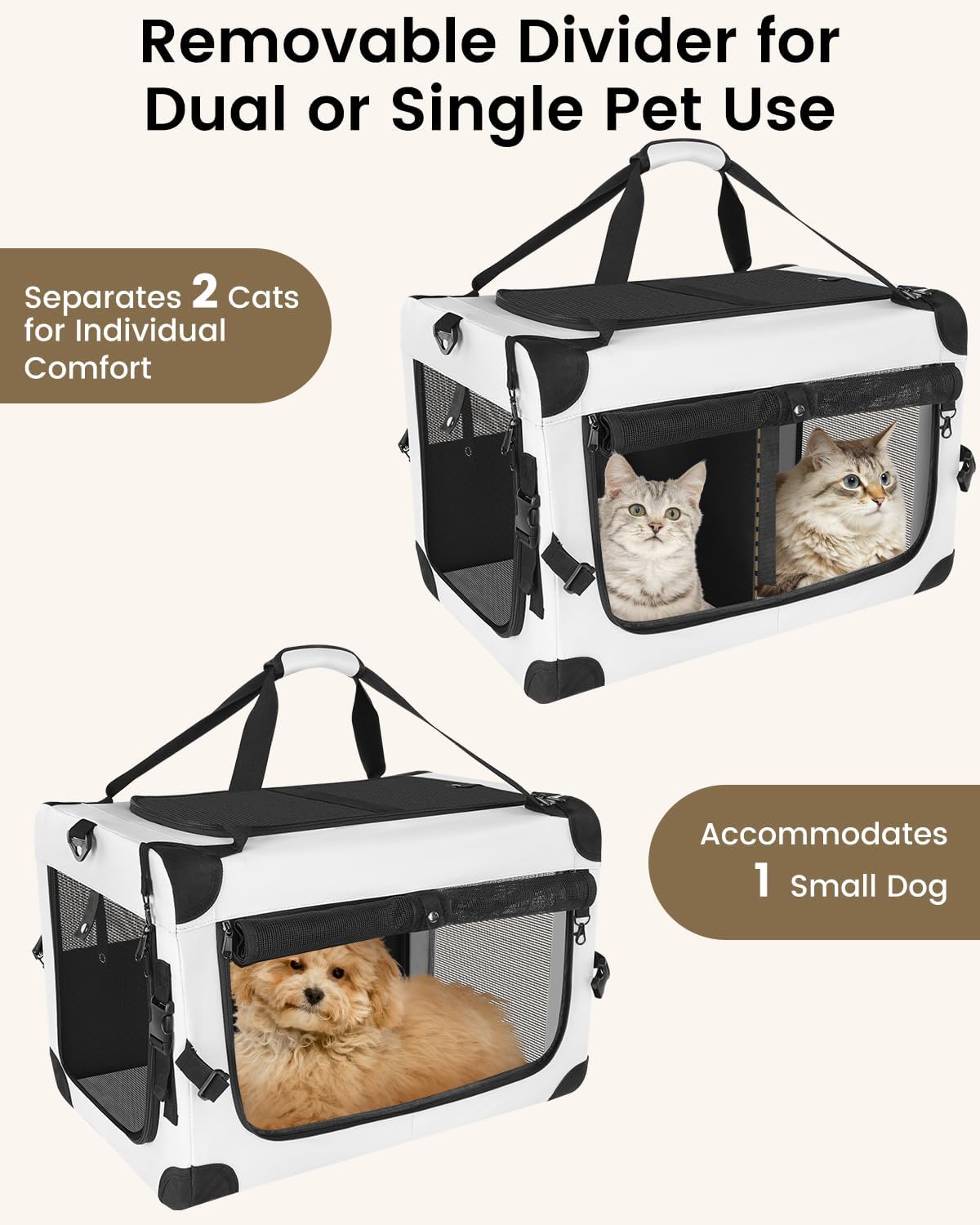 extra large cat carrier for 2 cats with, close-up detail