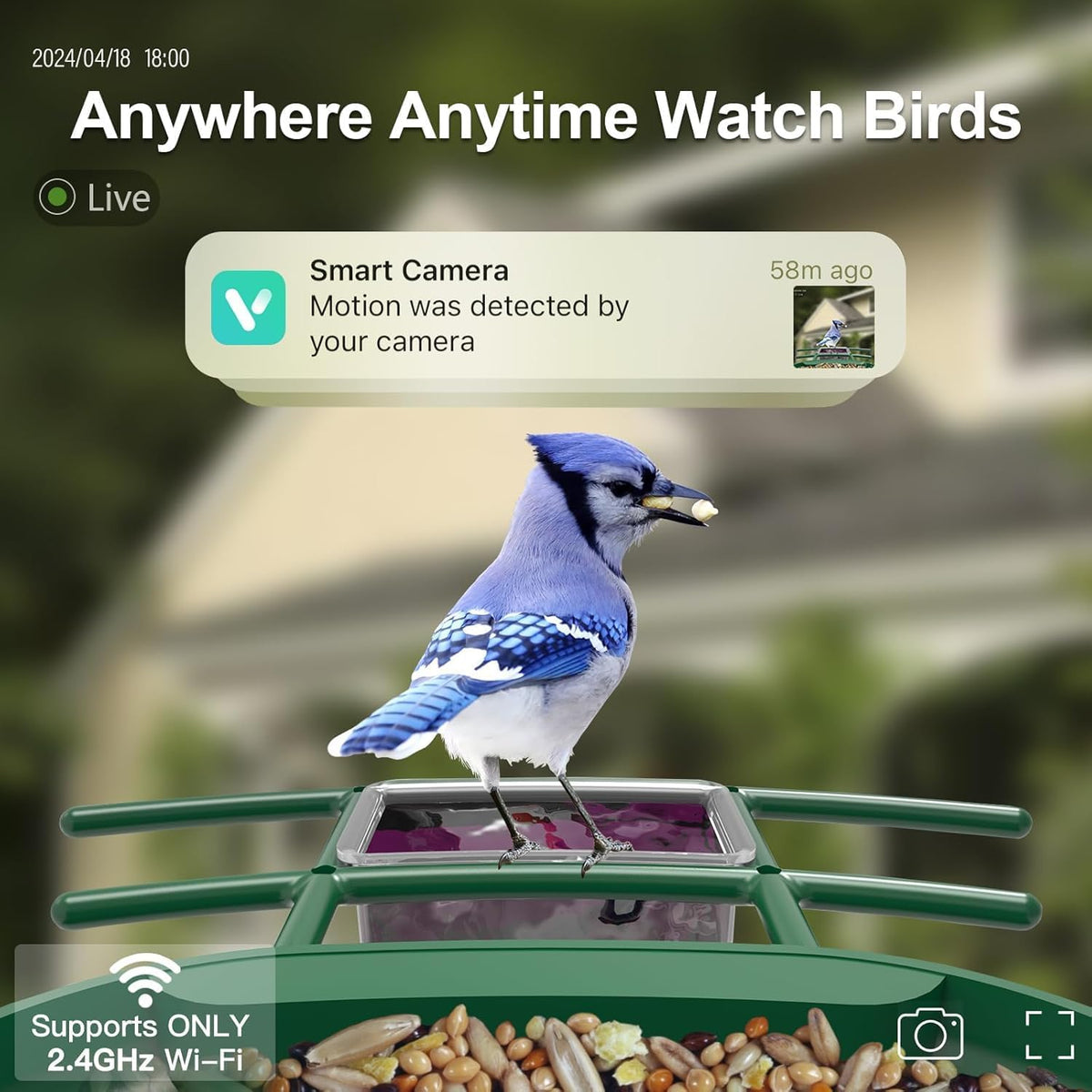 smart bird feeder with camera solar powered, 2k shown in use