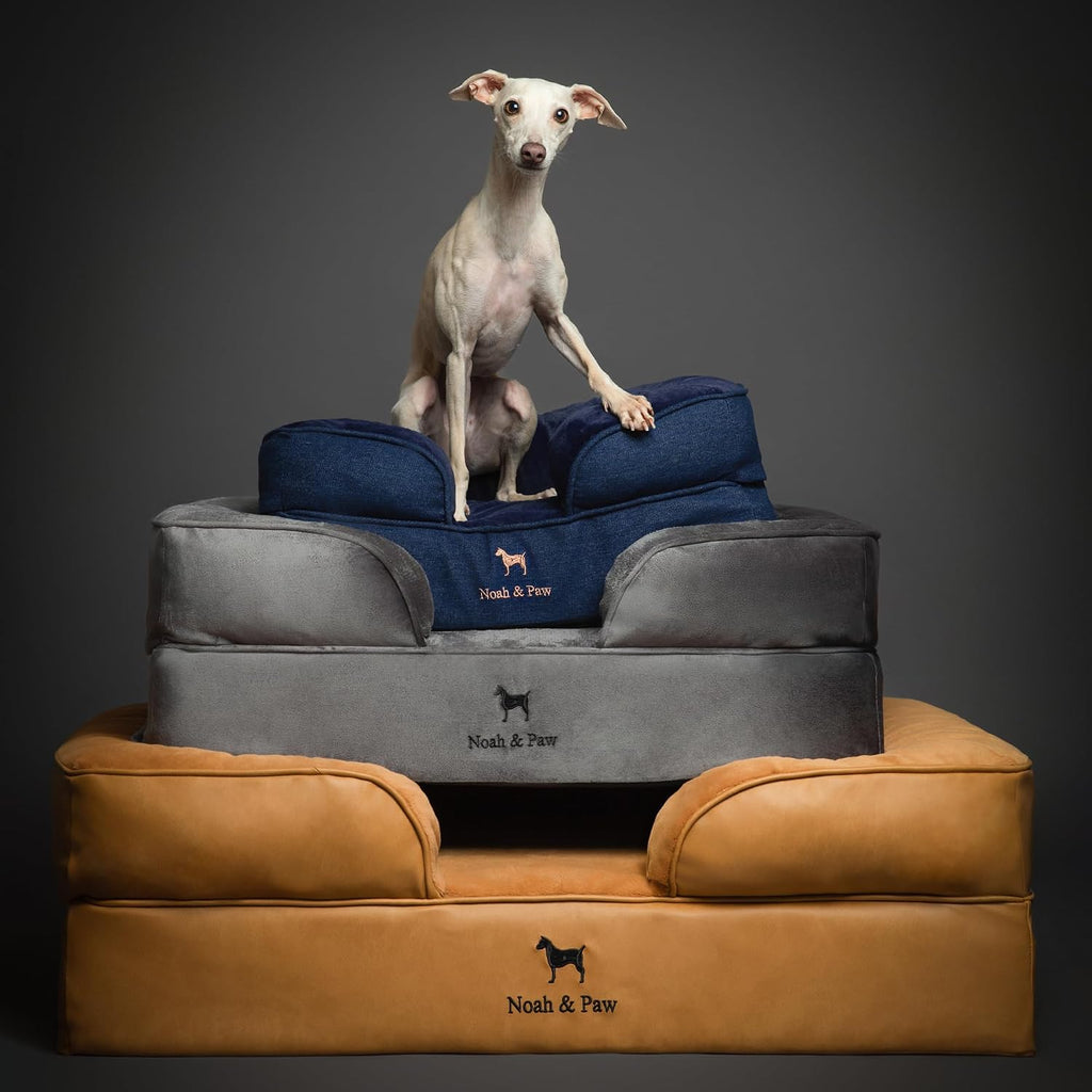 noah & paw xxl dog bed, orthopedic memory, front angle view