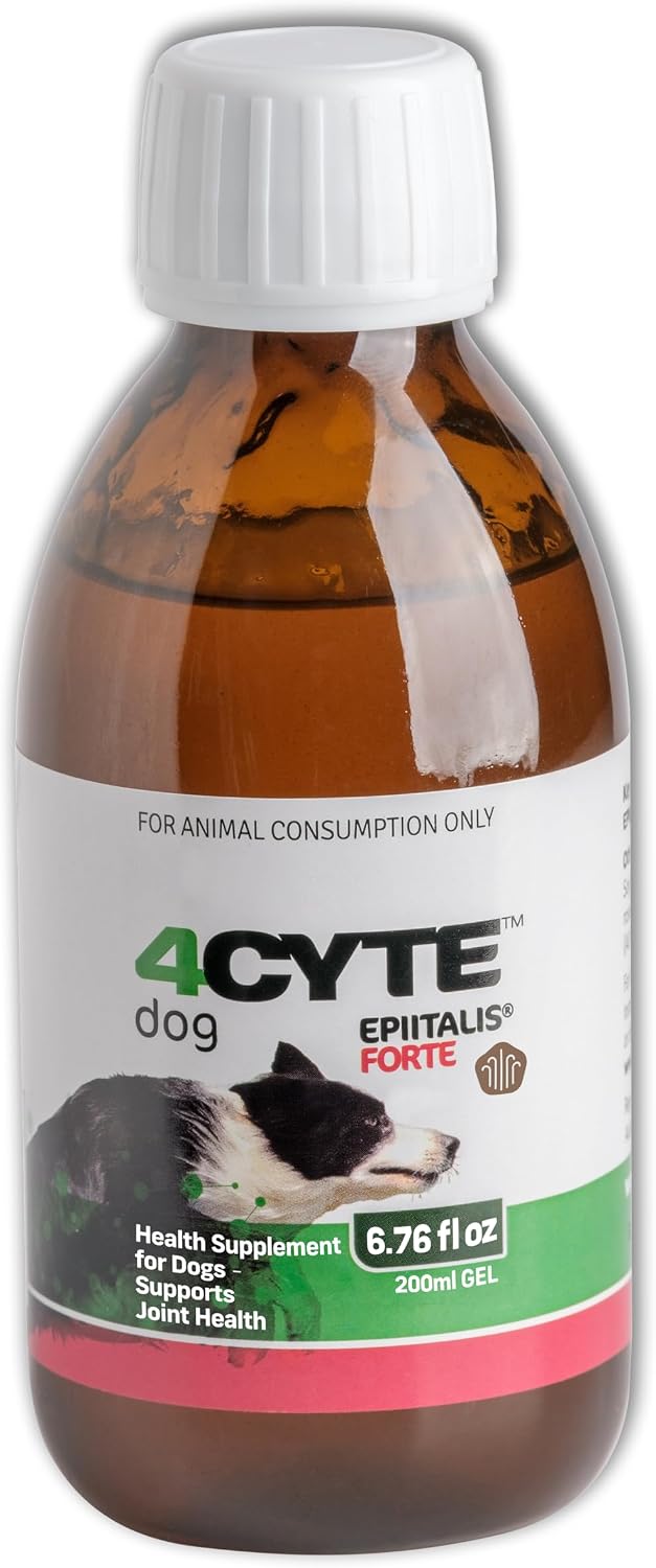 4cyte epiitalis forte dog joint supplement gel – shown in use