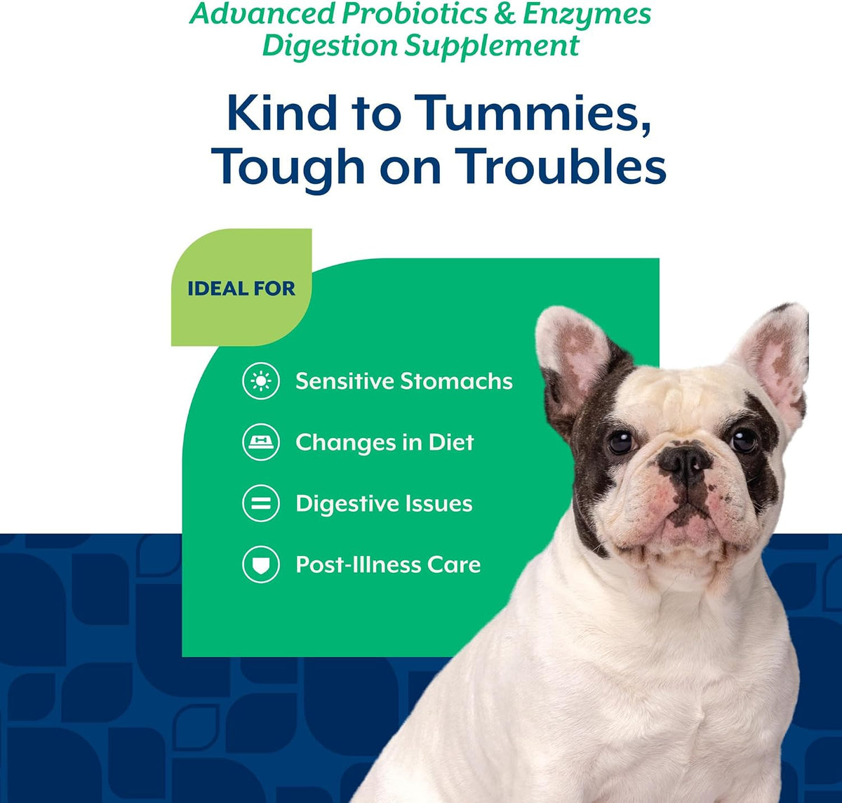 naturvet advanced probiotics & enzymes dog supplement, side view