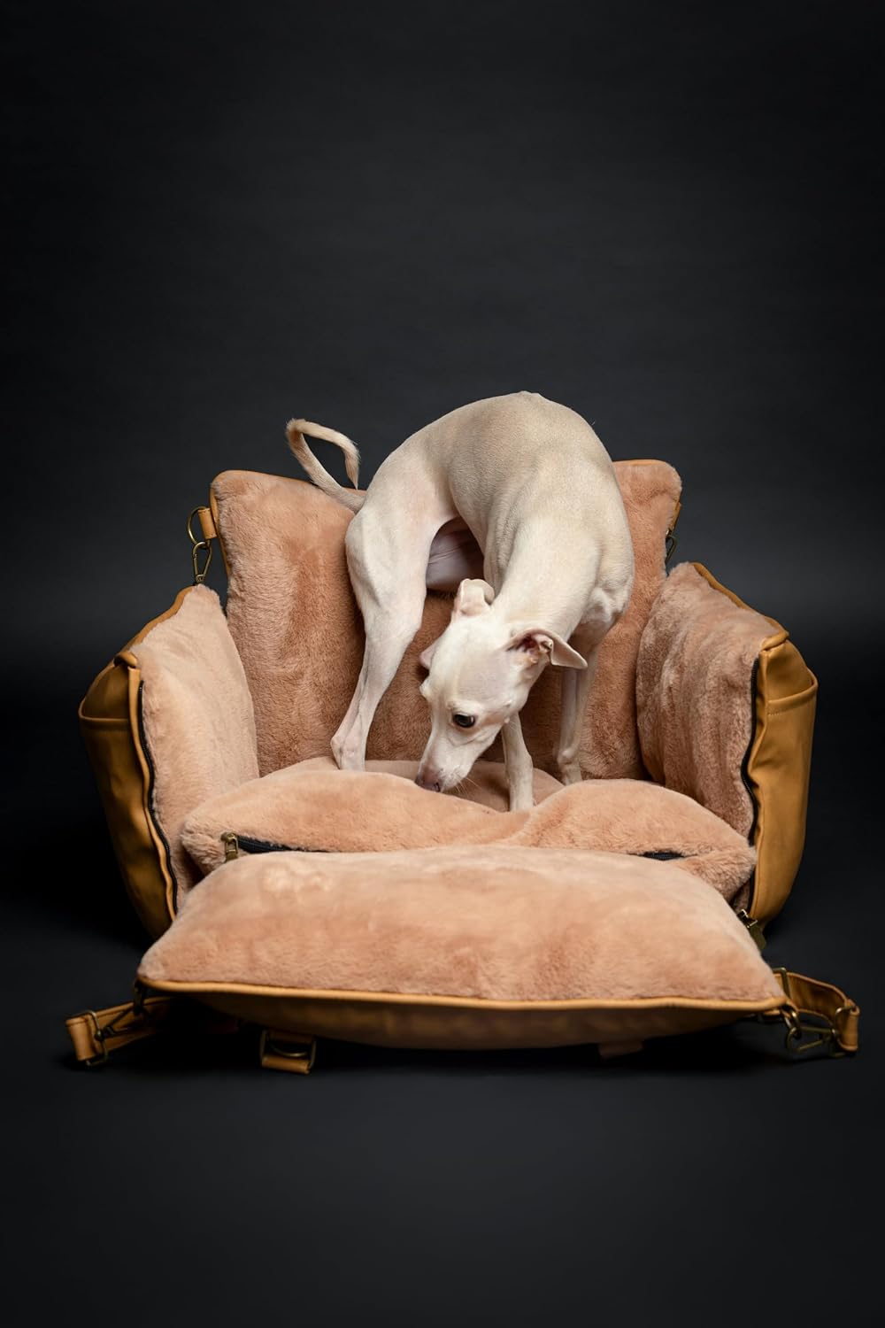 noah & paw dog car seat for small showing dimensions