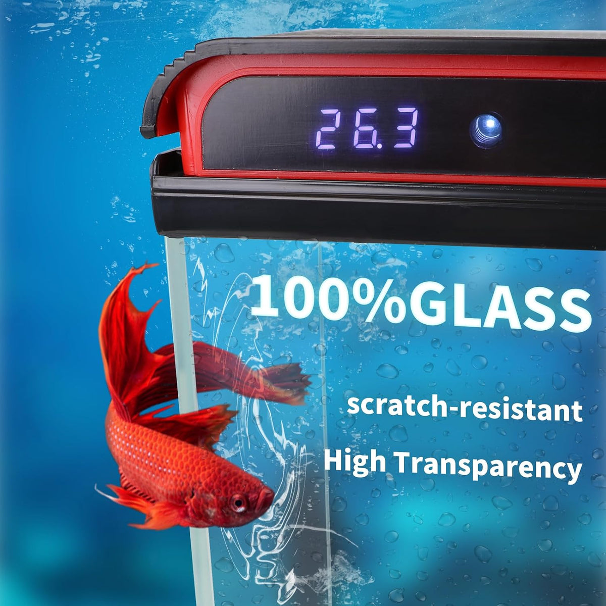 10 gallon fish tank, betta fish tank glass, close-up detail
