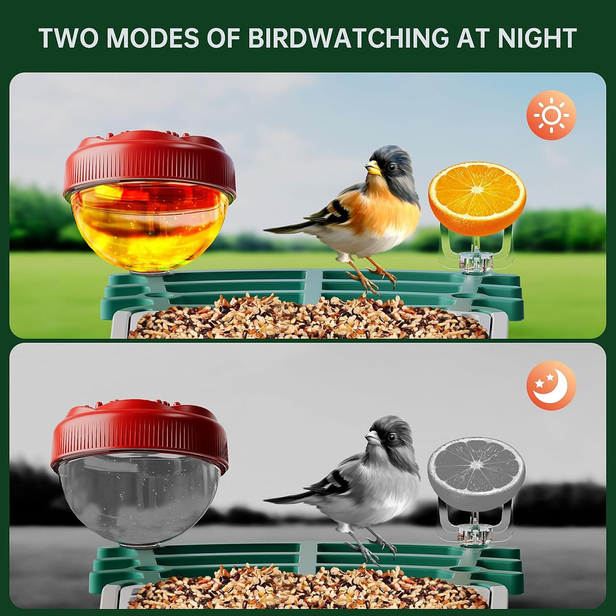 smart bird feeder with camera solar powered, 2.5k, side view