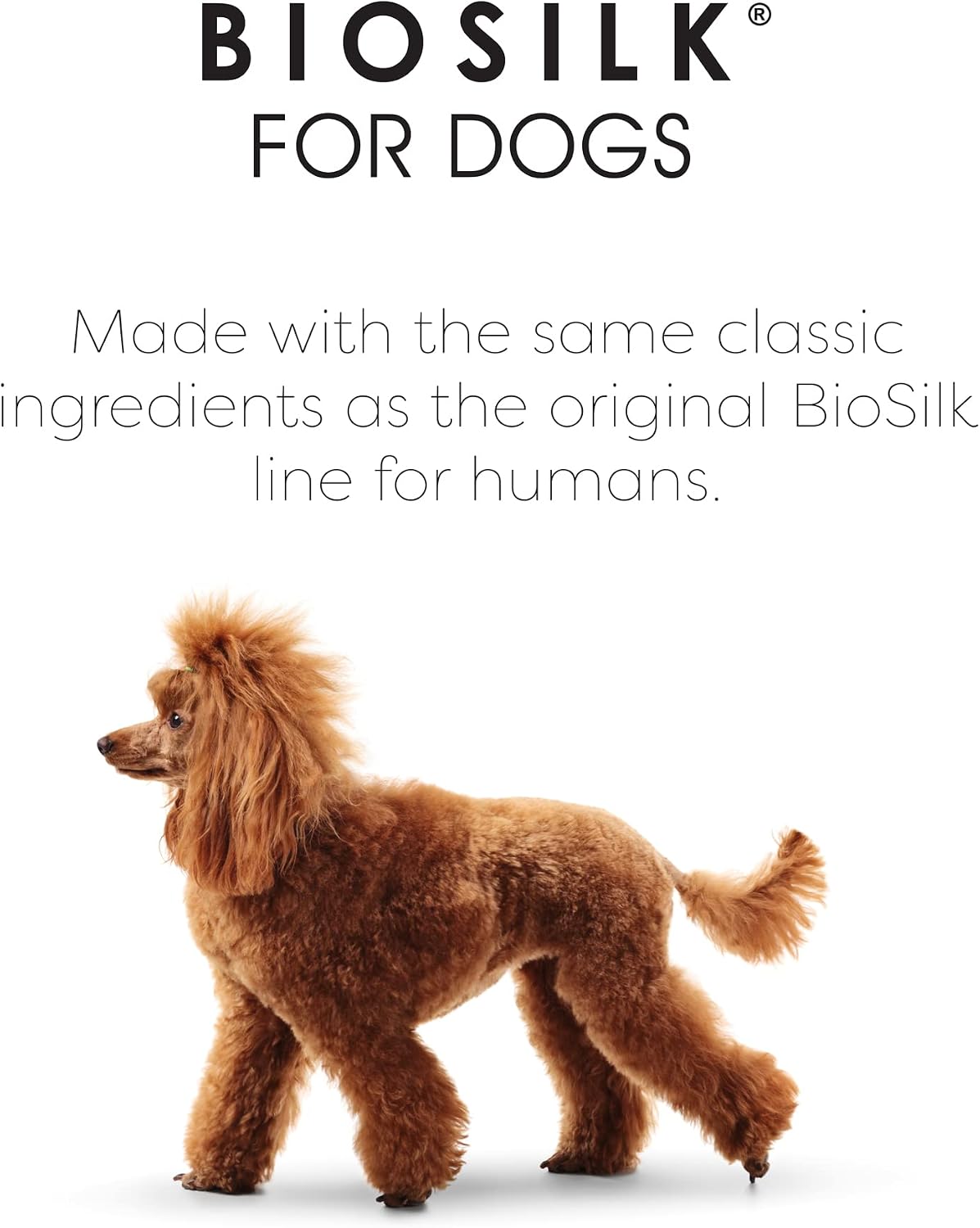 biosilk for dogs silk therapy shampoo, with coconut showing dimensions