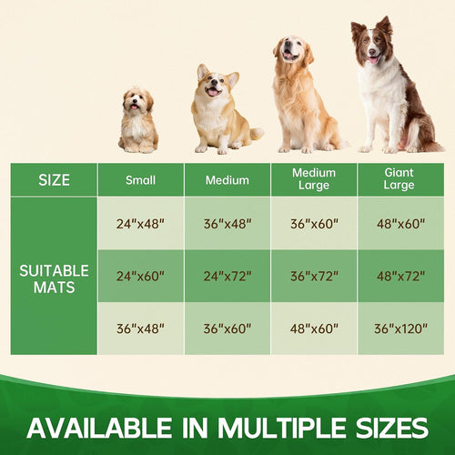 100pointone dog door mat for muddy paws 36"x120",ultra shown in use