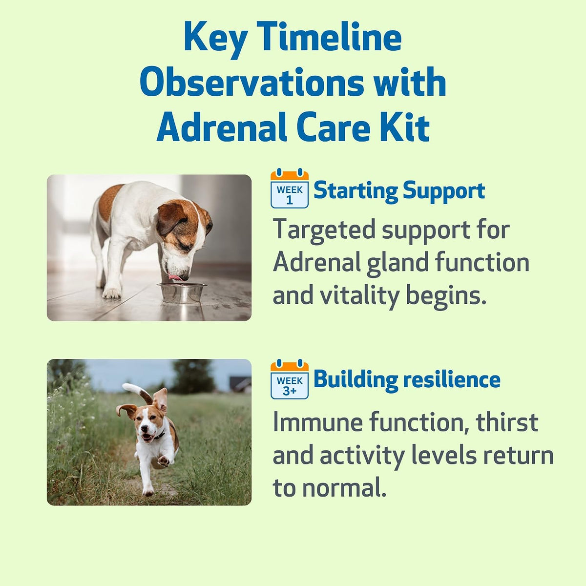pet wellbeing adrenal care kit for dogs, side view