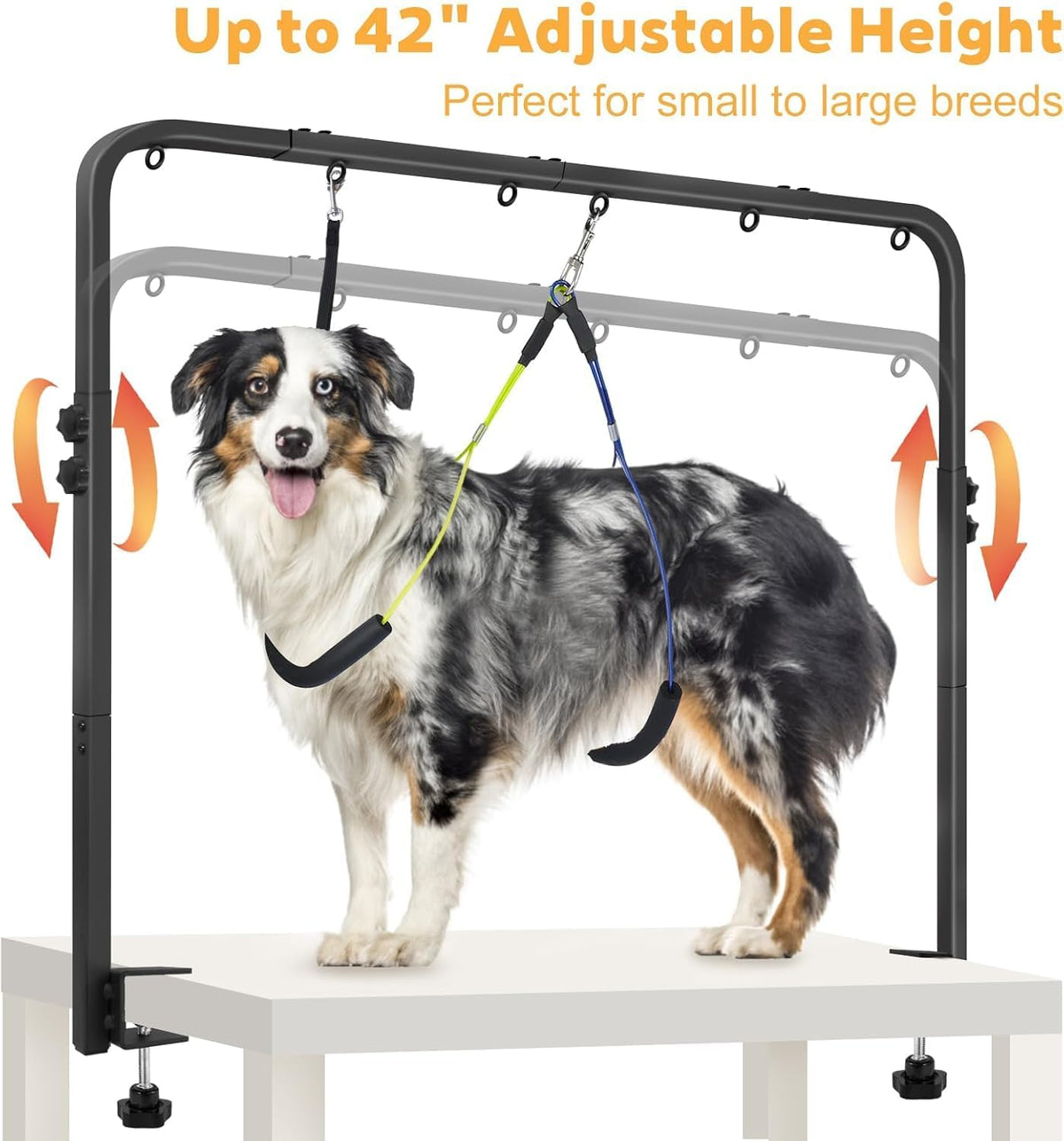 adjustable dog grooming arm with heavy-duty clamp: 44" shown in use