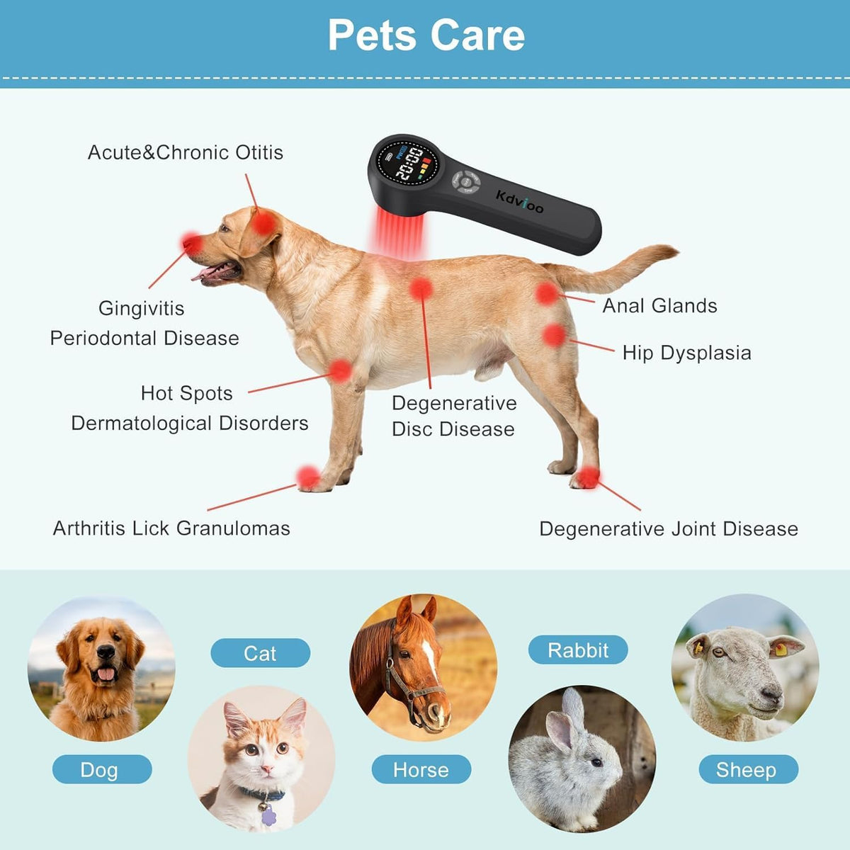 cold laser therapy for dogs, red light therapy, side view