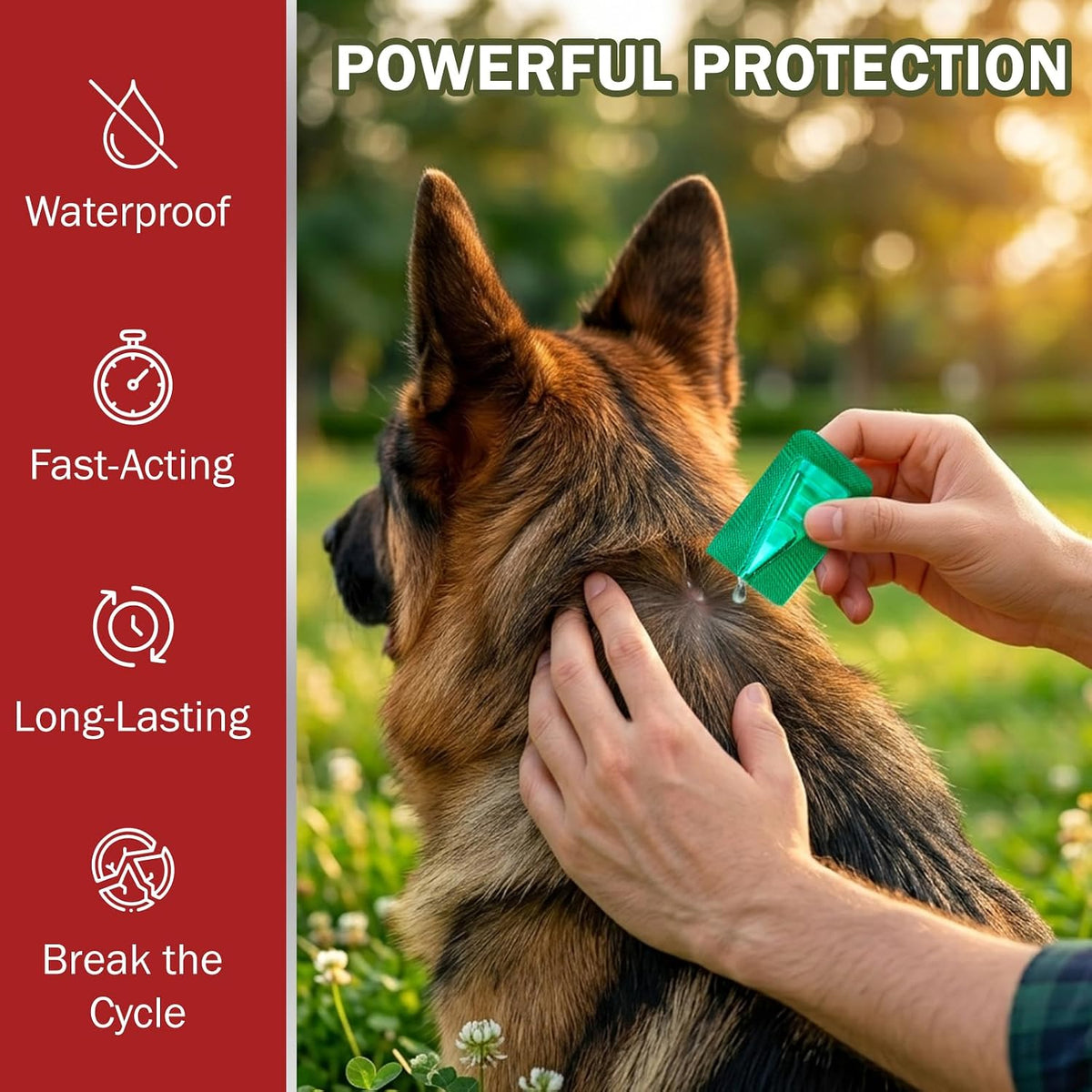 flea and tick prevention for large dogs, flea showing dimensions