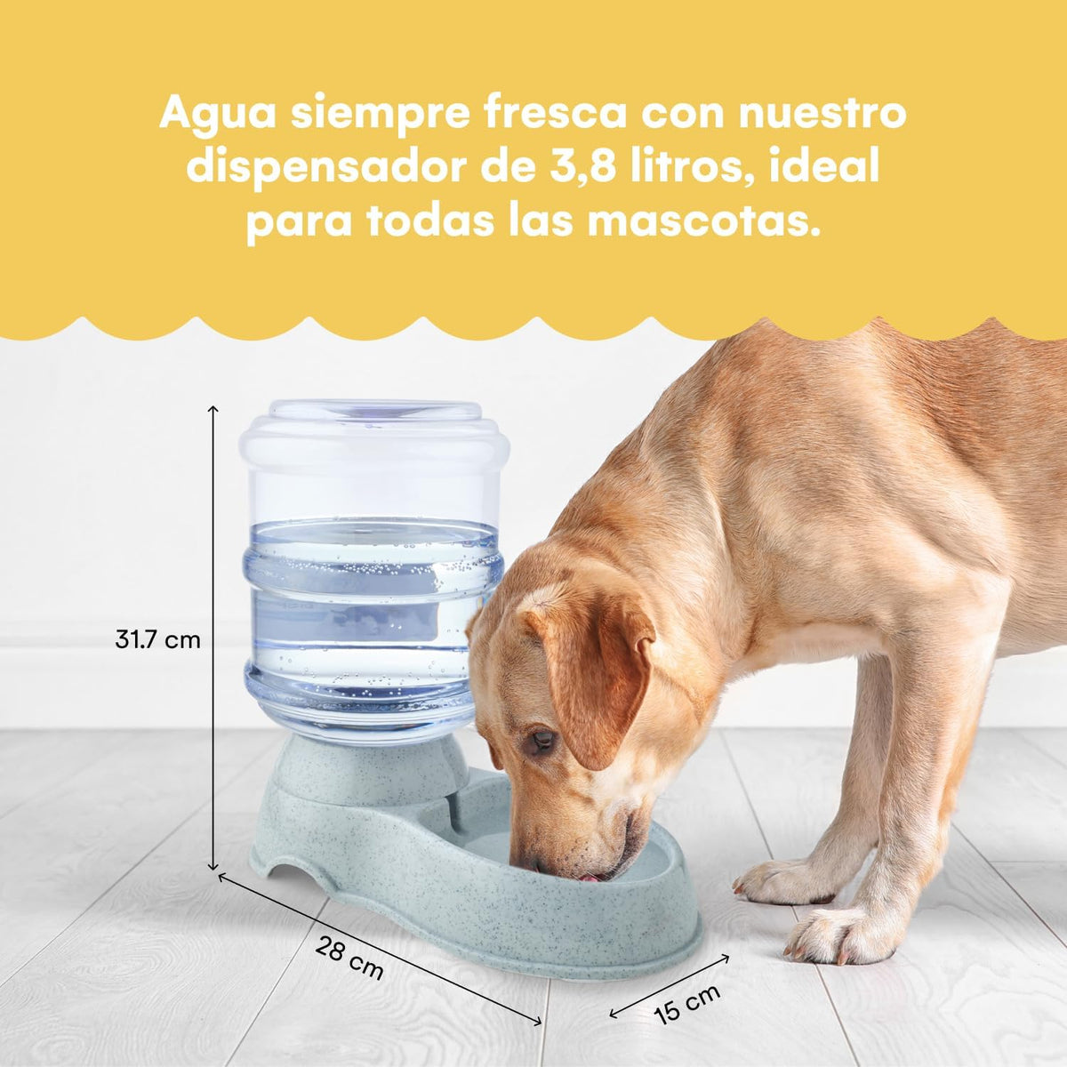 automatic 1-gallon pet feeder, easy to clean, supports, close-up detail