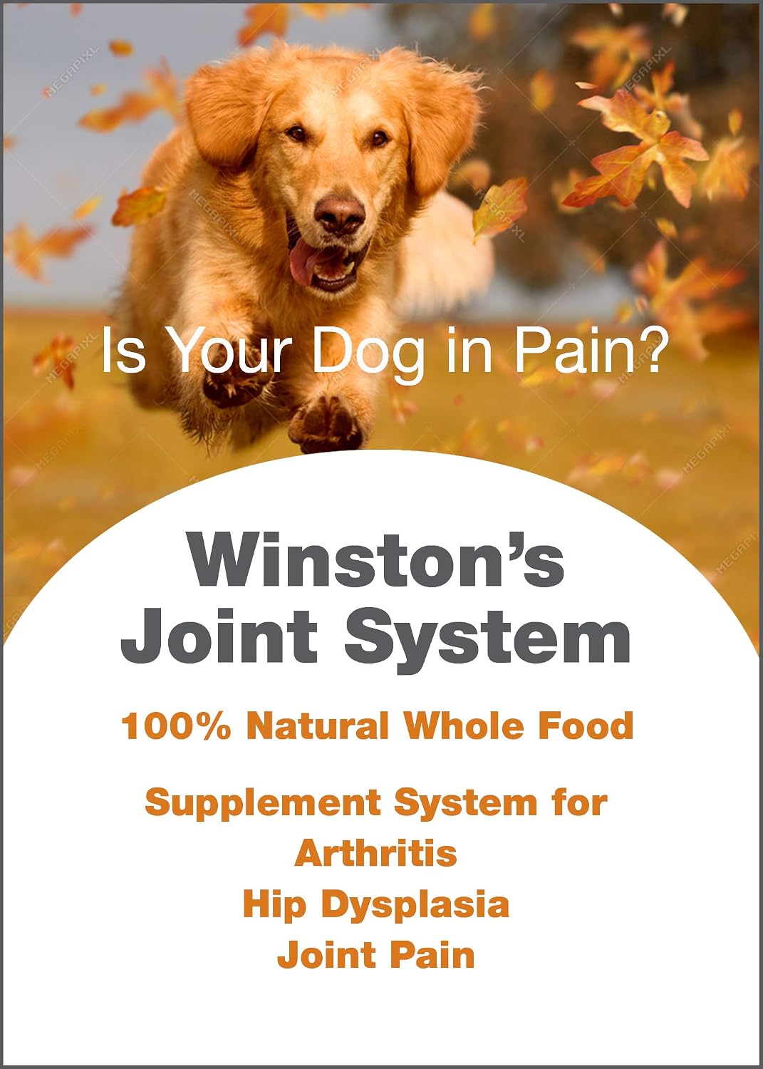 winston joint system - for large dogs over showing dimensions