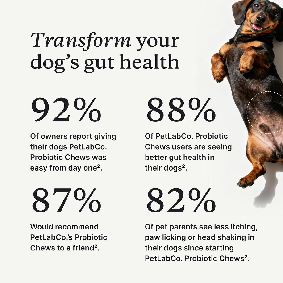 petlab co. probiotic chews, 30 soft chews, 2-pack shown in use