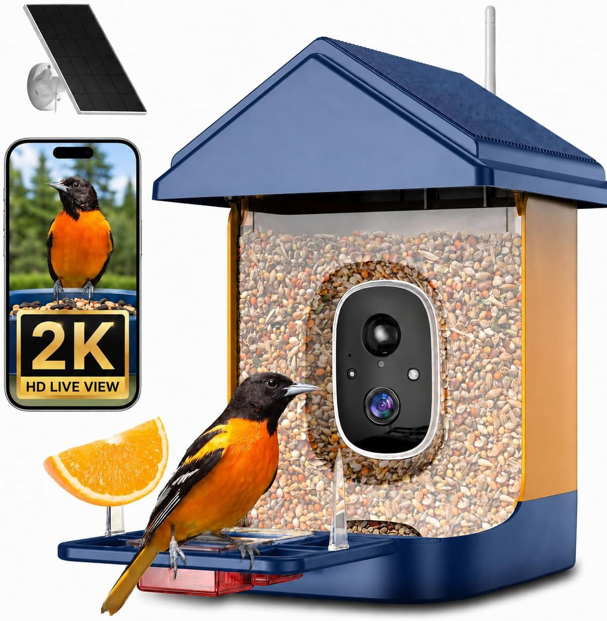 bird feeder with camera, solar powered, 2k hd, main product view