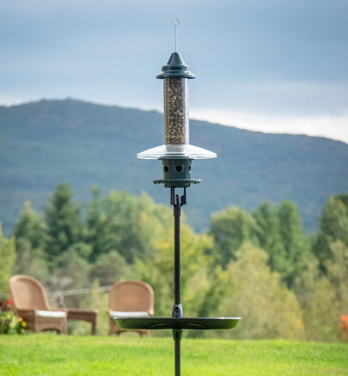 complete bird feeding station with squirrel buster plus showing dimensions