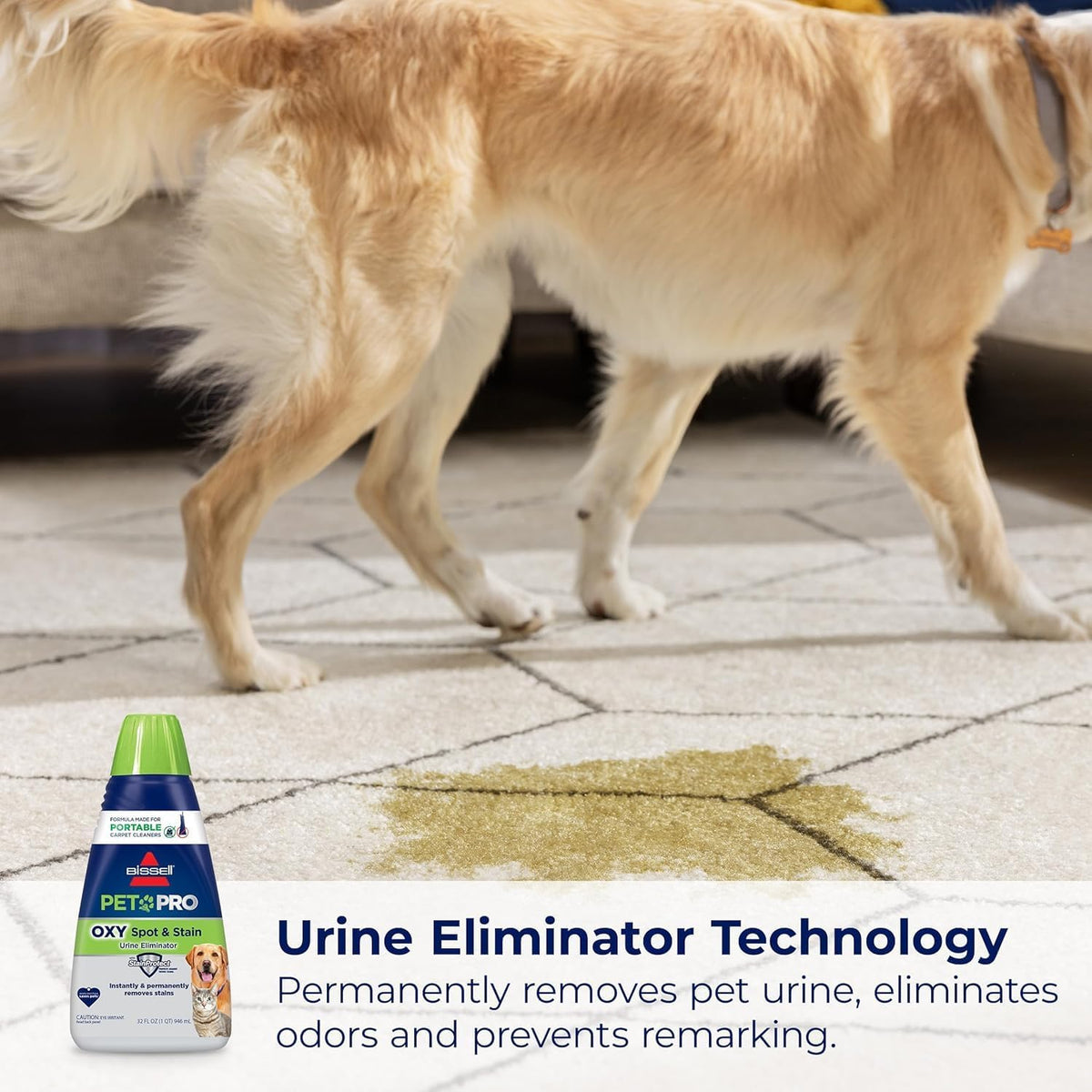 bundle little green portable carpet cleaner + pet, close-up detail