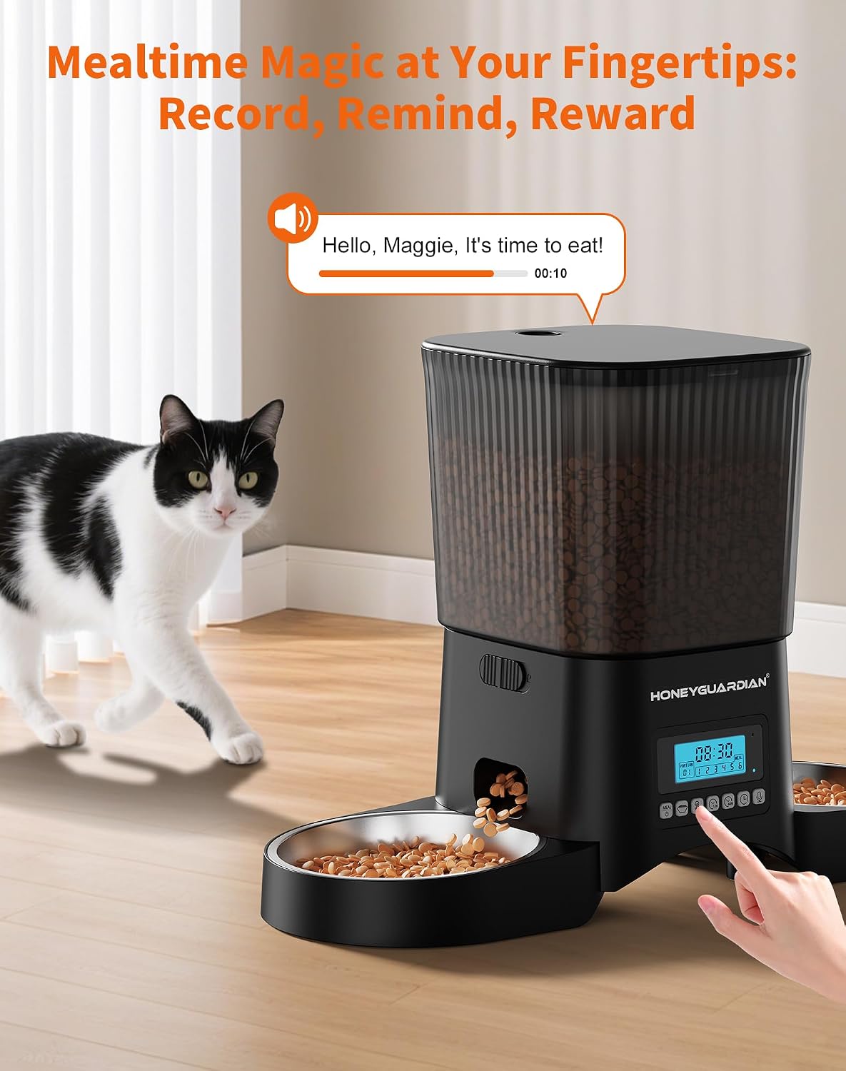 honeyguardian automatic cat feeder for 2 cats, automatic showing dimensions
