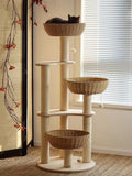modern wood cat tree for large cats,luxury rattan, main product view