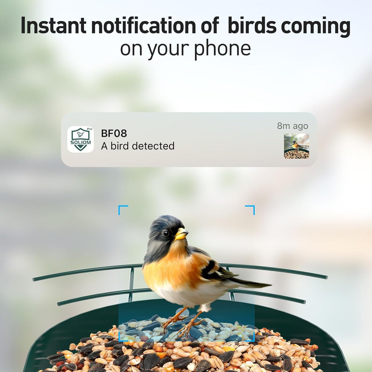 soliom smart bird feeder with camera for outdoors shown in use