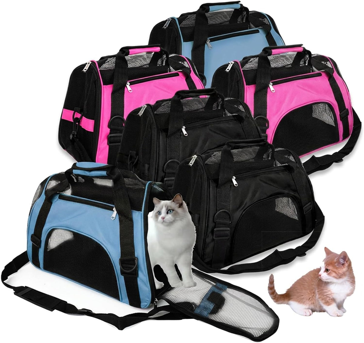 cat carrier 16.9 x 9.6 x 8.3 inch, main product view