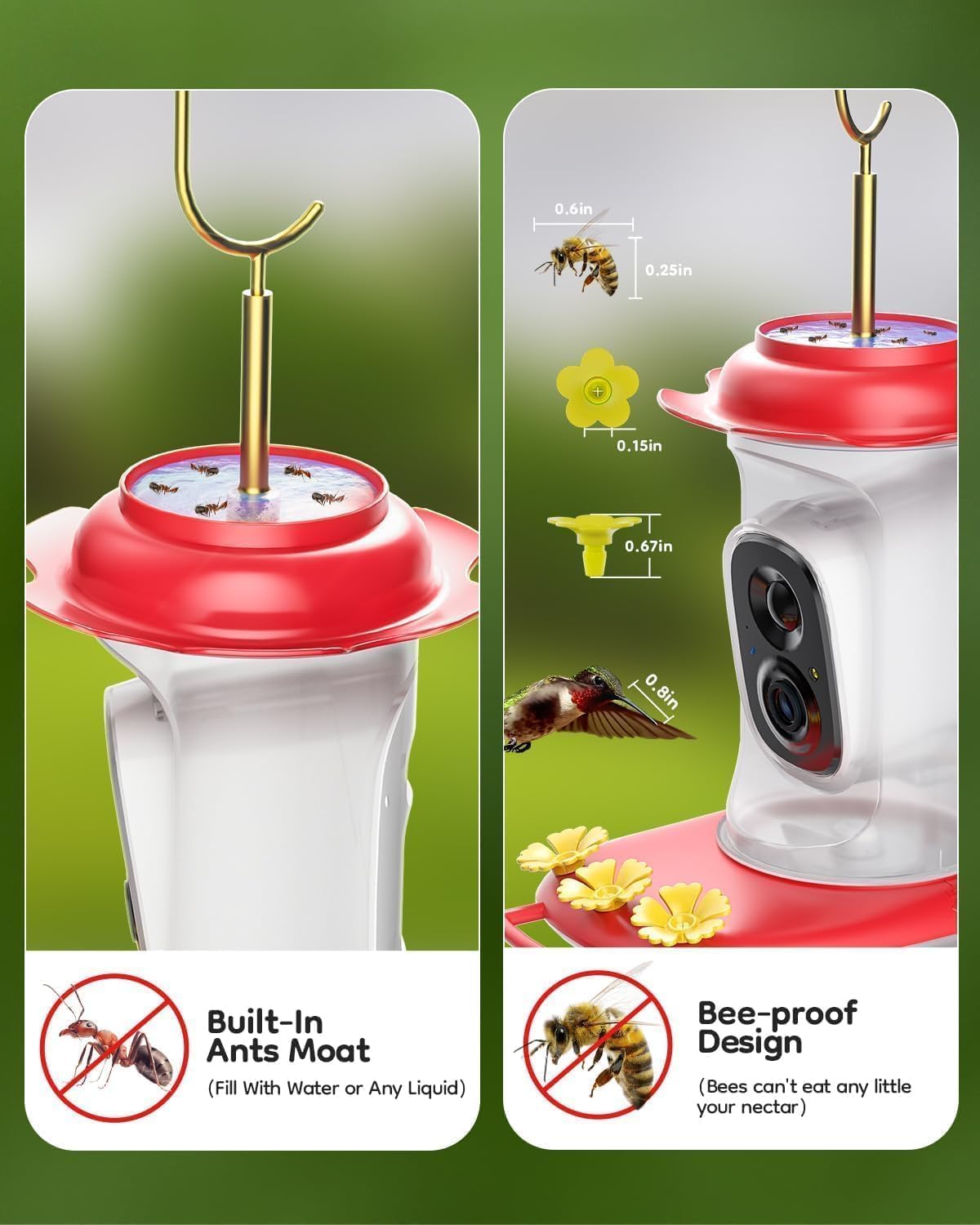 solar hummingbird feeder with camera, 2k live view, close-up detail