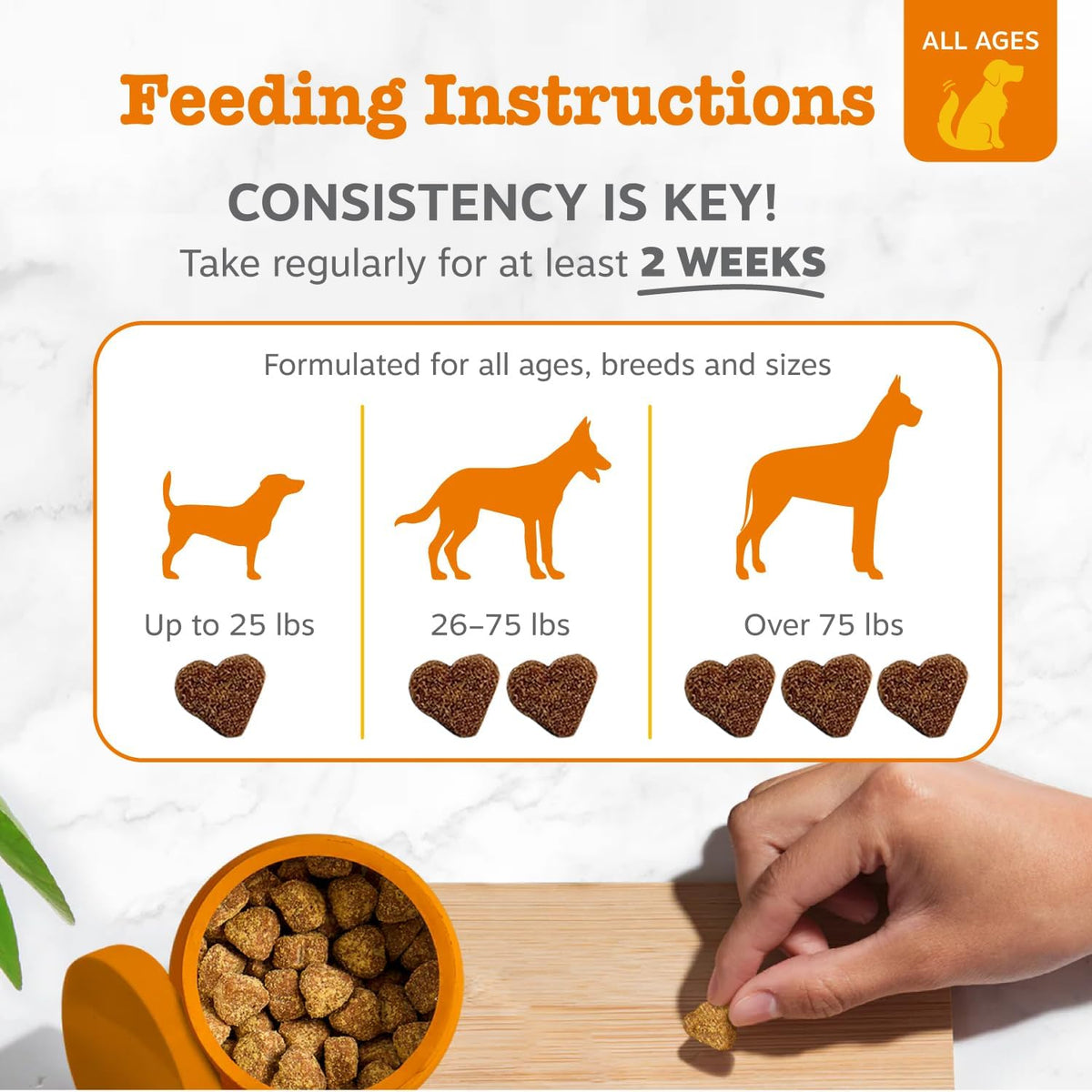 zesty paws probiotics for dogs, digestive enzymes gut, side view
