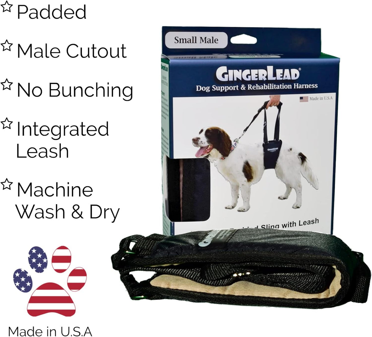 gingerlead® dog support sling rear leg harness, sm, close-up detail