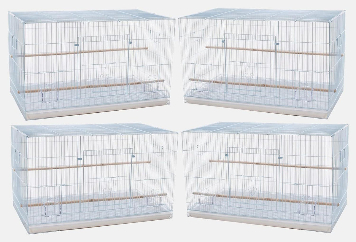 lot of 4 large 30" flight bird breeding, main product view